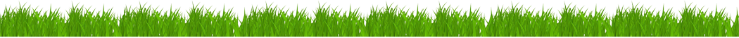 grass1.png